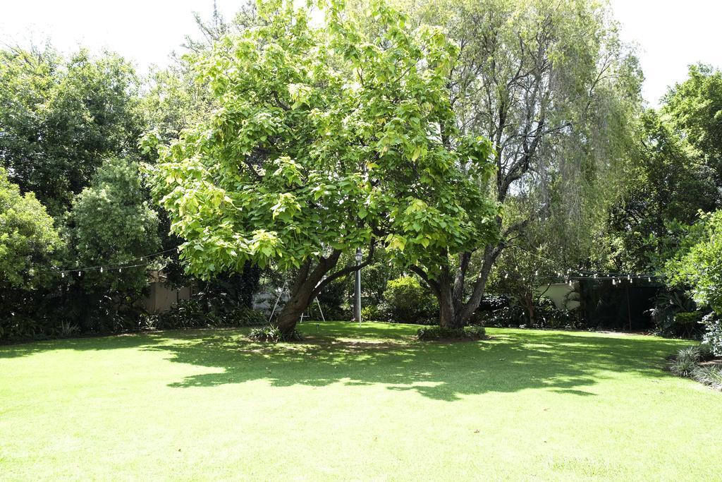 Waterkloof Guest House Pretoria Ngoại thất bức ảnh